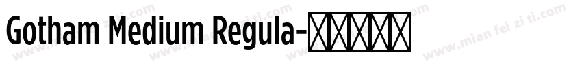 Gotham Medium Regula字体转换